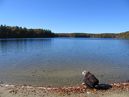 Laura at the edge of Walden Pond